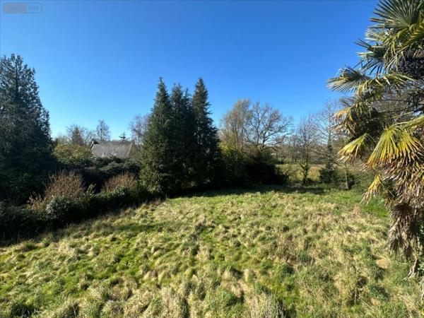 Maison à vendre à Carhaix-Plouguer dans le Finistère (29270), ref : 29005-1078695