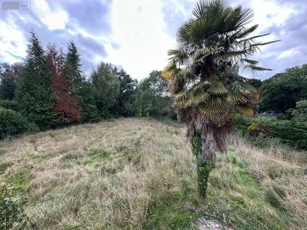 Maison à vendre à Carhaix-Plouguer dans le Finistère (29270), ref : 29005-1078695