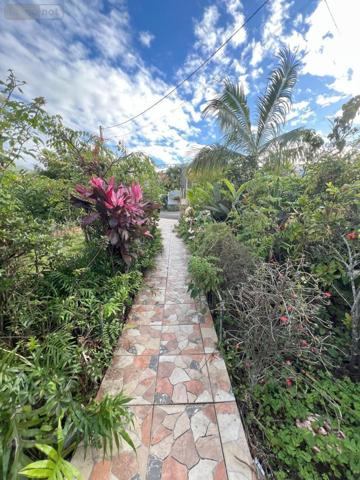 Maison à vendre à Saint-Joseph à la Réunion (97480), ref : 97411-311