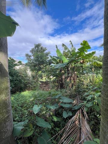 Maison à vendre à Saint-Joseph à la Réunion (97480), ref : 97411-311