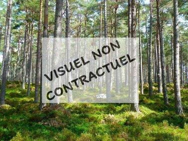 Bois à vendre à Villiers-Saint-Orien dans l'Eure-et-Loir (28800), ref : RCS/901 Bois à vendre à Villiers-Saint-Orien dans l'Eure-et-Loir (28800), ref : RCS/901 Bois à vendre à Villiers-Saint-Orien dans l'Eure-et-Loir (28800), ref : RCS/901