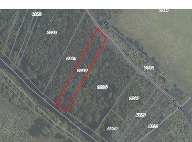 Bois à vendre à Villiers-Saint-Orien dans l'Eure-et-Loir (28800), ref : RCS/901 Bois à vendre à Villiers-Saint-Orien dans l'Eure-et-Loir (28800), ref : RCS/901 Bois à vendre à Villiers-Saint-Orien dans l'Eure-et-Loir (28800), ref : RCS/901