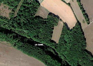 Bois à vendre à Villiers-Saint-Orien dans l'Eure-et-Loir (28800), ref : RCS/901 Bois à vendre à Villiers-Saint-Orien dans l'Eure-et-Loir (28800), ref : RCS/901 Bois à vendre à Villiers-Saint-Orien dans l'Eure-et-Loir (28800), ref : RCS/901