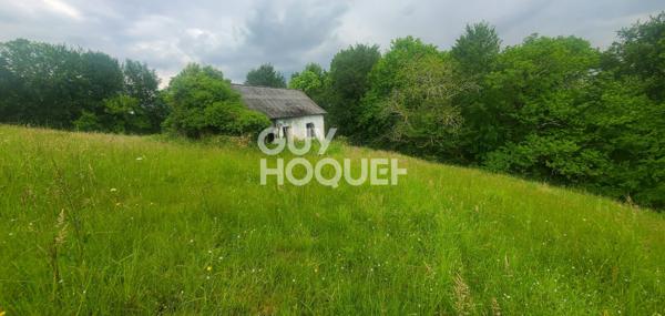 Grange à Rénover - Vue Pyrénées + 1,7 ha de Terrain !