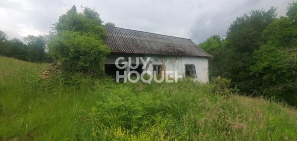 Grange à Rénover - Vue Pyrénées + 1,7 ha de Terrain !