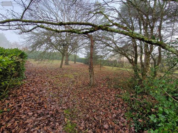 Maison à vendre à Fondettes dans l'Indre-et-Loire (37230), ref : 37009/2287