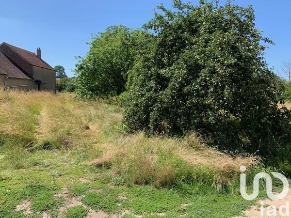 Terrain à vendre 1 014 m² La Celle-Saint-Cyr