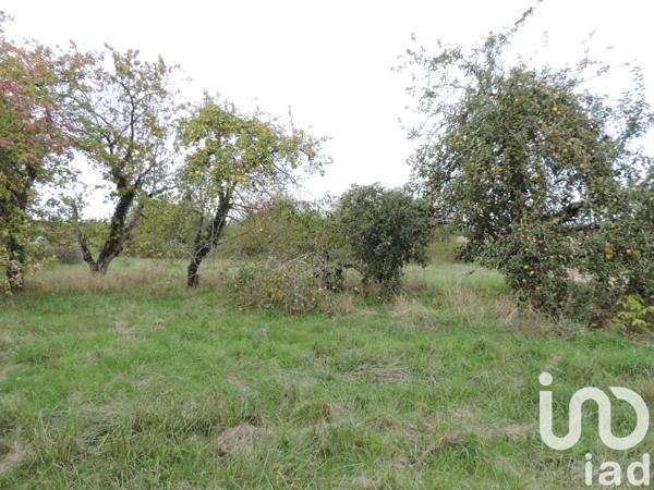 Terrain à vendre 1 014 m² La Celle-Saint-Cyr
