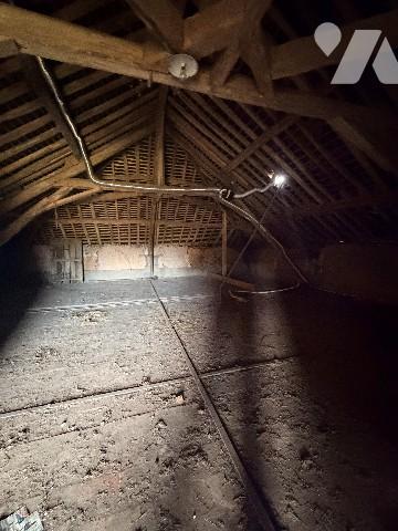 Corps de ferme rénovée, avec grange, mare et terres
