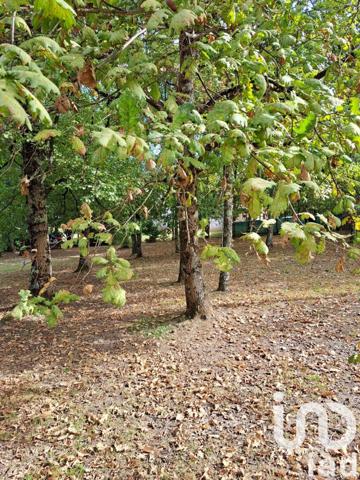 Maison à vendre 4 pièces 304 m² Saint-Nicolas-de-la-Grave