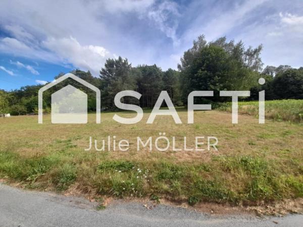 terrain arboré à bâtir !