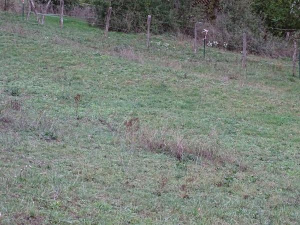 Terrain Vorges Les Pins 700 m2