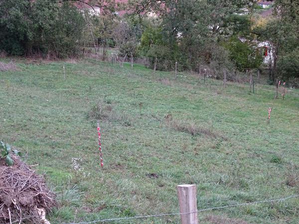 Terrain Vorges Les Pins 700 m2