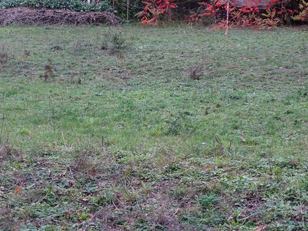 Terrain Vorges Les Pins 700 m2