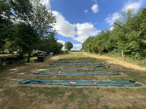 Maison à NOUZERINES (23600)