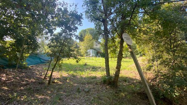 A VENDRE - MAUREILLAS LAS ILLAS - TERRAIN A BATIR