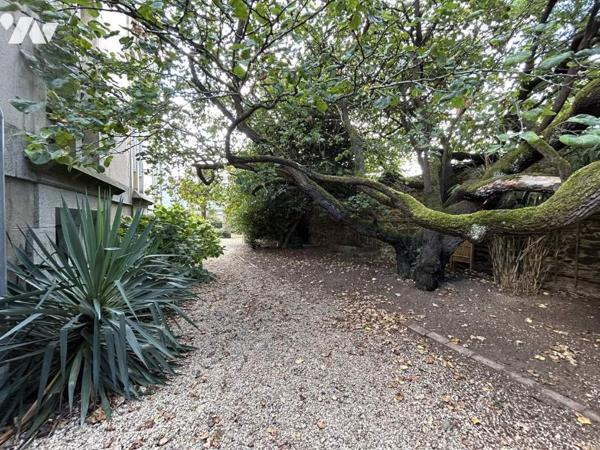 Appartement T2 SAINT REMI