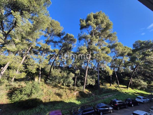 T2 33M2 + Terrasse 13M2 St-Menet 13011