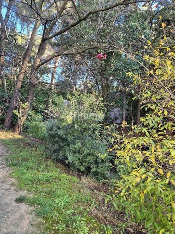 T2 33M2 + Terrasse 13M2 St-Menet 13011