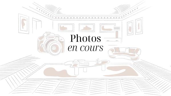 Appartement Paris 8e - PARC MONCEAU