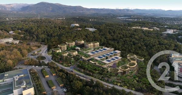 Appartement T2 à vendre  2 pièces - 42,10 m2 VALBONNE - 06