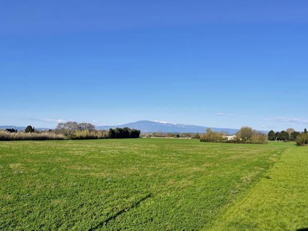 L'Isle-sur-la-Sorgue (84800) PROPRIETE 315 M2