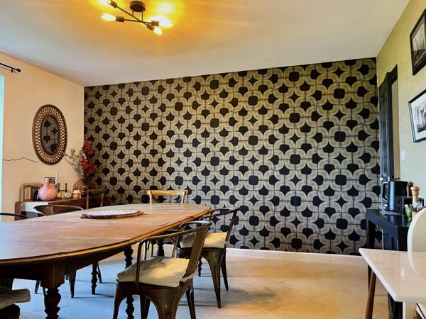 L'Isle-sur-la-Sorgue (84800) PROPRIETE 315 M2