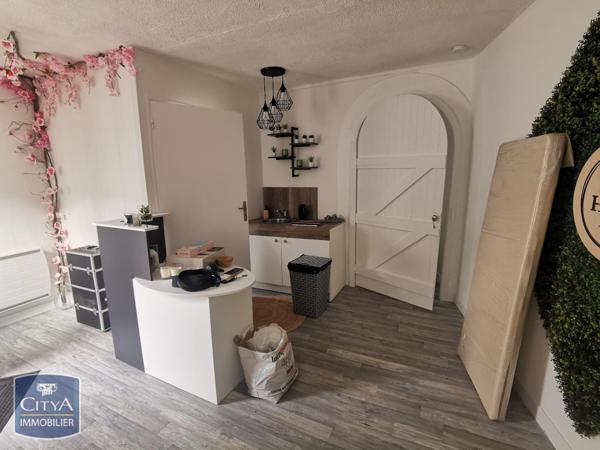 Location appartement Saint-Romain-le-Puy (42610) 2 pièces 32.33m²