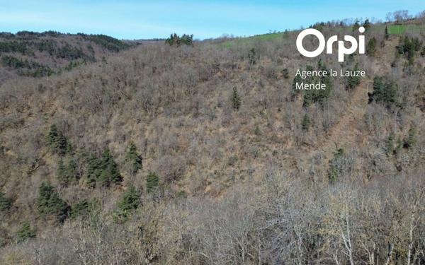 Terrain à vendre    Barjac