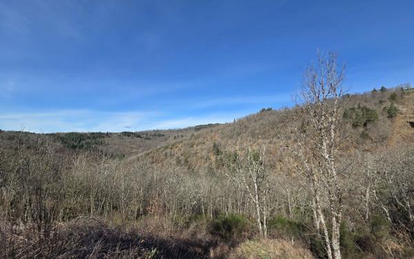 Terrain à vendre    Barjac