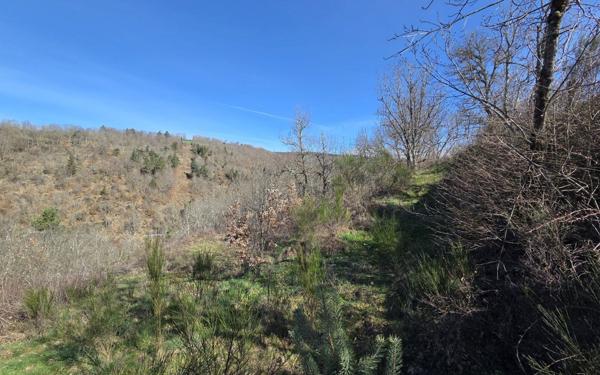 Terrain à vendre    Barjac