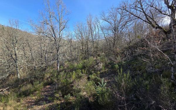 Terrain à vendre    Barjac