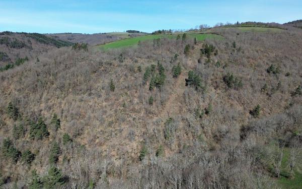 Terrain à vendre    Barjac