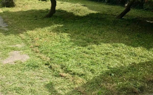 Maison à vendre    5 pièces • 120 m2 Bruay-sur-l'Escaut