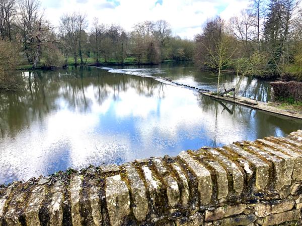 Maison Montaigu Vendee