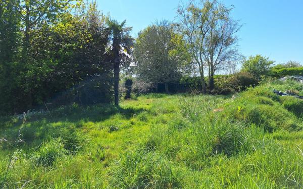 Terrain constructible 711 m²