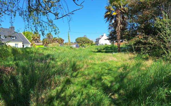 Terrain constructible 711 m²