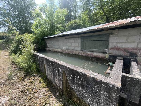 Immeuble à vendre |  Branne |  240 m²