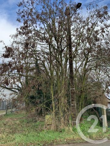 Terrain à vendre  1005 m2 LA CHAPELLE ST MESMIN - 45