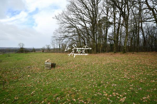 Maison de campagne avec piscine et installations équestres – Environnement paisible proche d’un lac