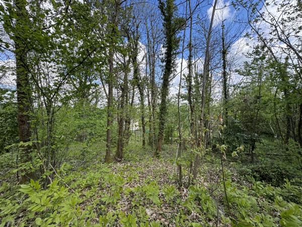 Vaste maison idéalement située sur 3000 m² (dont 2000 m² constructibles)