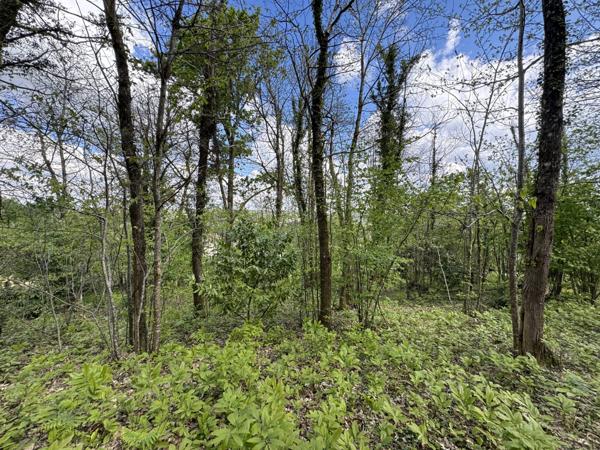 Vaste maison idéalement située sur 3000 m² (dont 2000 m² constructibles)