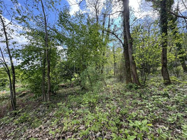 Vaste maison idéalement située sur 3000 m² (dont 2000 m² constructibles)