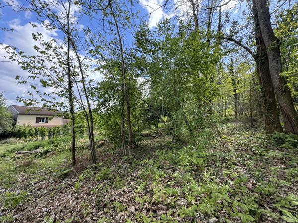 Vaste maison idéalement située sur 3000 m² (dont 2000 m² constructibles)