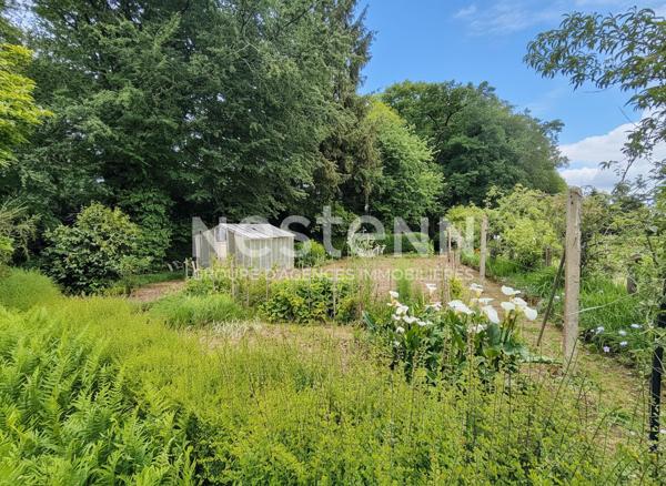Maison à Questembert - Terrain de 3,2 ha sans vis-à-vis - 98 m² - 3 chambres