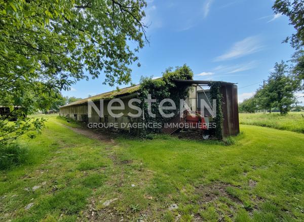 Maison à Questembert - Terrain de 3,2 ha sans vis-à-vis - 98 m² - 3 chambres