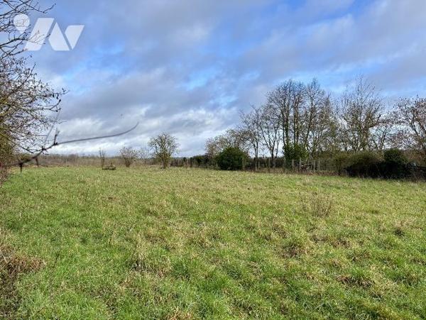 Terrain constructible de 1429 m2