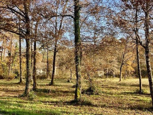 MAISON PLAIN PIED 4 CHAMBRES  TERRAIN DE 23800 m2