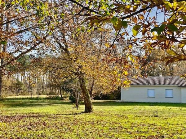 MAISON PLAIN PIED 4 CHAMBRES  TERRAIN DE 23800 m2