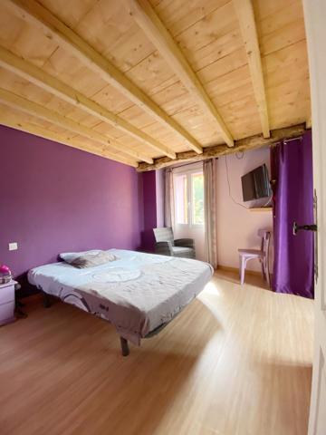 Charmante maison en pierre au cœur d’un hameau avec jardin